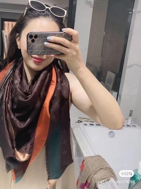 Louis Vuitton Scarf LV00116